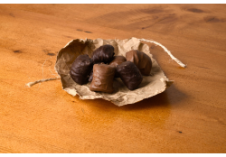 Kokosnoot Chocoladerepen