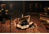 Souris noires à l'anis