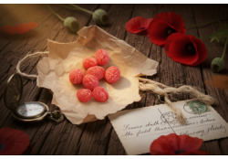 Handcraft Hard Candy Poppy
